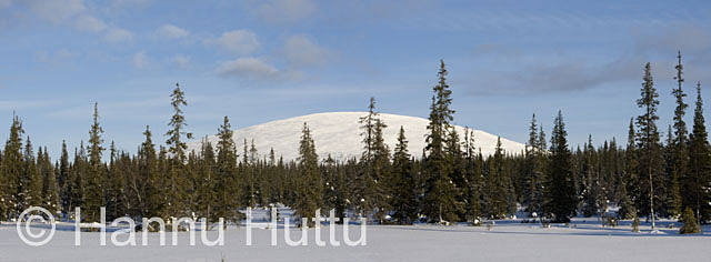 2008_02_20_038a.jpg
salla metsämaisema tunturimaisema talvi talvella kuusimetsä lappi värriö sauoiva panoraama
Avainsanat: salla metsämaisema tunturimaisema talvi talvella kuusimetsä lappi värriö sauoiva panoraama