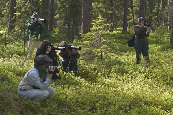131_3196.jpg
luontomatkailu luontokuvaus kamera retkeily luontoharrastus metsä kesä turisti
Avainsanat: luontomatkailu luontokuvaus kamera retkeily luontoharrastus metsä kesä turisti