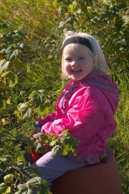 162_6243.jpg
lapsi tyttö syksy mustaherukka nauru puutarha marja
Avainsanat: lapsi tyttö syksy mustaherukka nauru puutarha marja