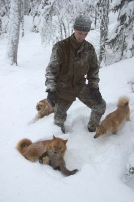 20040103_020.jpg
näätä metsästys metsästäjä talvi lumi riista pienpeto saalis suomenpystykorva metsästyskoira
Avainsanat: näätä metsästys metsästäjä talvi lumi riista pienpeto saalis suomenpystykorva metsästyskoira