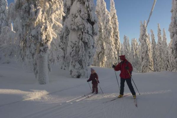 Tiedosto - 20040215_055.jpg
hiihto hiihtää lapsi tyttö aikuinen äiti latu tykky lumi ukkohalla hyrynsalmi
Avainsanat: hiihto hiihtää lapsi tyttö aikuinen äiti latu tykky lumi ukkohalla hyrynsalmi
