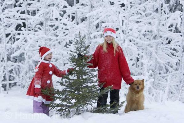 20041206_016.jpg
joulu tonttu joulukuusi joulutonttu tyttö lapsi talvi ilo koira suomenpystykorva
Avainsanat: joulu tonttu joulukuusi joulutonttu tyttö lapsi talvi ilo koira suomenpystykorva