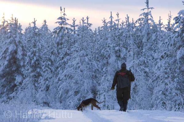 20041212_006.jpg
lumi talvi erä mies harrastus metsästys metsästäjä suomenajokoira jäniksenmetsästys talutushihna
Avainsanat: lumi talvi erä mies harrastus metsästys metsästäjä suomenajokoira jäniksenmetsästys talutushihna