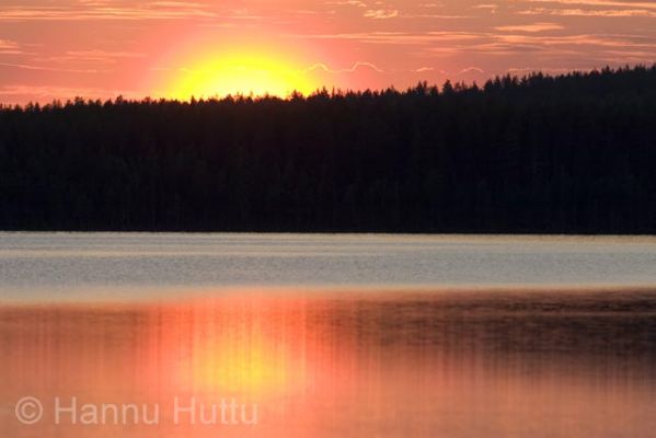 2005_06_17 035.jpg
auringonlasku aurinko järvi hyrynjärvi tyyni ilta kesä
Avainsanat: auringonlasku aurinko järvi hyrynjärvi tyyni ilta kesä