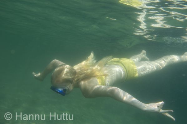2006_07_18 248.jpg
sukellus tyttö sukeltaa hossa öllöri järvi kirkas vesi kesä harrastus 
Avainsanat: sukellus tyttö sukeltaa hossa öllöri järvi kirkas vesi kesä harrastus