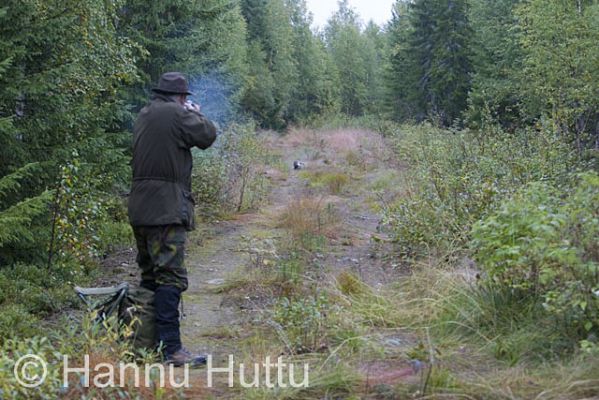 2008_09_06_024.jpg
jäniksenmetsästys ampumistilanne ampuminen tähtäys jänis metsästäjä jänikseen osuu haulikolla haulikko metsästystilanne jänissaalis haulikko haulikon laukaus ajokoirametsästys mies ampuu jäniksen jänistä syksy passissa passipaikka metsäjänis 
Avainsanat: jäniksenmetsästys ampumistilanne ampuminen tähtäys jänis metsästäjä jänikseen osuu haulikolla haulikko metsästystilanne jänissaalis haulikko haulikon laukaus ajokoirametsästys mies ampuu jäniksen jänistä syksy passissa passipaikka metsäjä