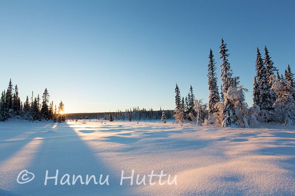 2013_01_23_075.jpg
talvimaisema Sorsele Ruotsi
Avainsanat: talvimaisema Sorsele Ruotsi