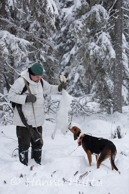 2015_12_05_075.jpg
jänissaalis suomenajokoira jänismetsällä jäniksen metsästys jänisjahti talvi lumi metsästäjä
Avainsanat: jänissaalis suomenajokoira jänismetsällä jäniksen metsästys jänisjahti talvi lumi metsästäjä