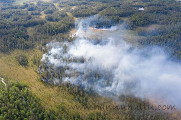 20190617_016.jpg
kulotus metsäpalo ilmakuva
Avainsanat: kulotus metsäpalo ilmakuva