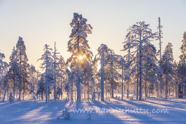 202401120080
metsämaisema suomaisema talvi lumi pakkanen huurre kuura talvimaisema
Avainsanat: metsämaisema suomaisema talvi lumi pakkanen huurre kuura talvimaisema