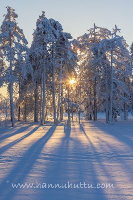 202401120081
metsämaisema suomaisema talvi lumi pakkanen huurre kuura talvimaisema
Avainsanat: metsämaisema suomaisema talvi lumi pakkanen huurre kuura talvimaisema