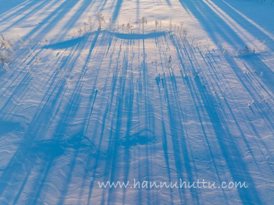 202401120147
talvimaisema ilmakuva lumi suomaisema talvipäivä varjo
Avainsanat: talvimaisema ilmakuva lumi suomaisema talvipäivä varjo