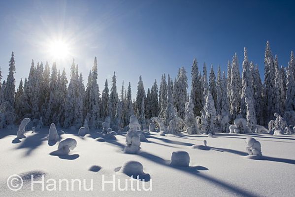 2009_03_01_048.jpg
lumimaisema paljakka talvimaisema tykkylumi kuusimetsä aurinko 
Avainsanat: lumimaisema paljakka talvimaisema tykkylumi kuusimetsä aurinko 