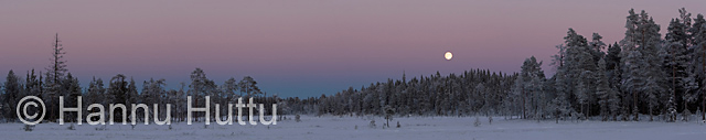 2006_11_04 400a.jpg
kuu nousee täysikuu talvimaisema talvi panoraama sydänmaanaro raatesuo ilta kalevalapuisto
Avainsanat: kuu nousee täysikuu talvimaisema talvi panoraama sydänmaanaro raatesuo ilta kalevalapuisto