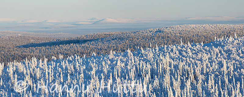 2013_02_13_207a.jpg
metsämaisema tunturimaisema talvi talvella kuusimetsä lappi värriön luonnonpuisto talvimaisema panoraama
Avainsanat: metsämaisema tunturimaisema talvi talvella kuusimetsä lappi värriön luonnonpuisto talvimaisema panoraama
