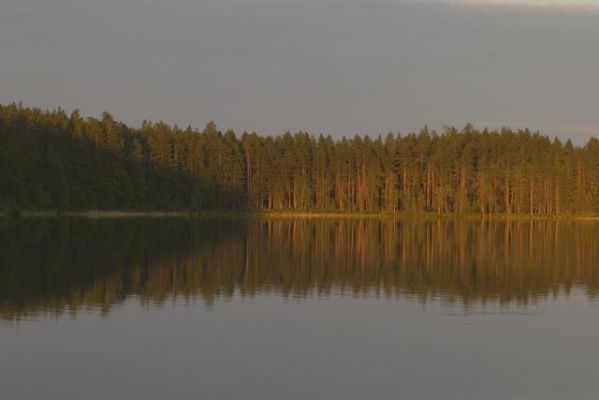 134_3446.jpg
järvi, hossa, suomussalmi, kesäkuu maisema
Avainsanat: järvi hossa ilta tyyni vesi maisema
