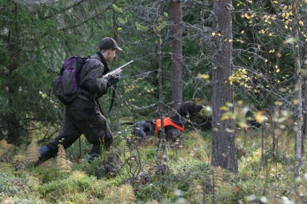174_7449_RJ.jpg
metsästäjä metsästys saksanseisoja seisonta ase tilanne syksy
Avainsanat: metsästäjä metsästys saksanseisoja seisonta ase tilanne syksy
