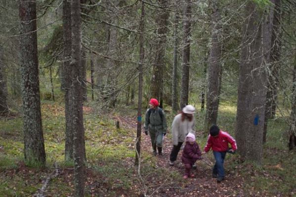 20031012_003.jpg
retki metsä aarnimetsä retkeilypolku ukkohalla lapsi aikuinen
Avainsanat: retki metsä aarnimetsä retkeilypolku ukkohalla lapsi aikuinen