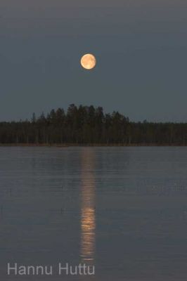 20041030_011.jpg
täysikuu järvi jää syksy ilta kuu  säynäjäjärvi säynäjäsuo
Avainsanat: täysikuu järvi jää syksy ilta kuu  säynäjäjärvi säynäjäsuo