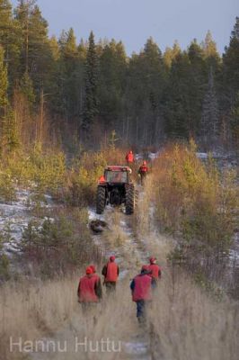 20041114_028.jpg
hirvenmetsästys metsästäjä hirvisaalis kuljetus traktori syksy 
Avainsanat: hirvenmetsästys metsästäjä hirvisaalis kuljetus traktori syksy