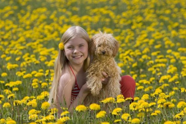 2005_06_11 051.jpg
kääpiövillakoira kesä voikukka pelto niitty lemmikki koira tyttö nuori aurinkoinen 
Avainsanat: kääpiövillakoira kesä voikukka pelto niitty lemmikki koira tyttö nuori aurinkoinen