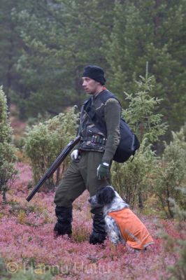 2005_09_24 111.jpg
englanninsetteri metsästyskoira kanakoira koira linnustus ruska syksy metsästäjä savukoski metsästys
Avainsanat: englanninsetteri metsästyskoira kanakoira koira linnustus ruska syksy metsästäjä savukoski metsästys