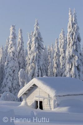 2006_02_05 017.jpg
lumi tykky piha rakennus talvi kuura 
Avainsanat: lumi tykky piha rakennus talvi kuura