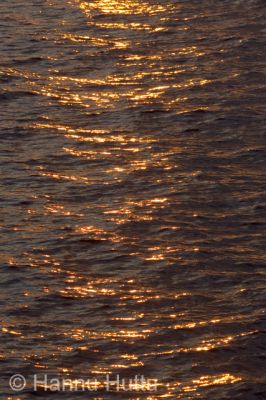 2006_07_08 059.jpg
heijastus auringonsilta aallokko vesi järvi aalto laine auringonlasku
Avainsanat: heijastus auringonsilta aallokko vesi järvi aalto laine auringonlasku