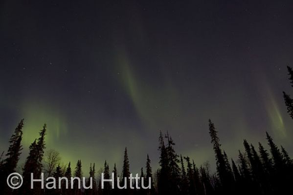 2007_09_29 440.jpg
vintilänkaira kuusimetsä kuusikko metsämaisema tähtitaivas erämaa revontulet syksy yö syysyö aurora borealis
Avainsanat: vintilänkaira kuusimetsä kuusikko metsämaisema tähtitaivas erämaa revontulet syksy yö syysyö aurora borealis
