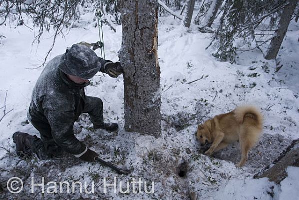 2009_12_25_022.jpg
talvi turkisriista näädänmetsästys pienpeto suomenpystykorva metsästäjä metsästyskoira
Avainsanat: talvi turkisriista näädänmetsästys pienpeto suomenpystykorva metsästäjä metsästyskoira