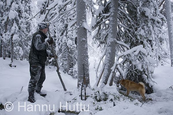 2010_01_10_015.jpg
talvi turkisriista näädänmetsästys pienpeto suomenpystykorva metsästäjä metsästyskoira
Avainsanat: talvi turkisriista näädänmetsästys pienpeto suomenpystykorva metsästäjä metsästyskoira