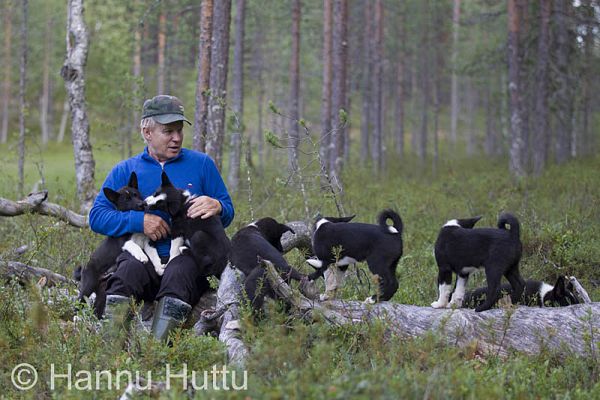 2011_07_14_216.jpg
karjalankarhukoiran pentu koiranpentu metsässä kesä
Avainsanat: karjalankarhukoiran pentu koiranpentu metsässä kesä