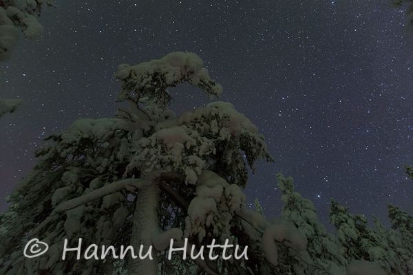 2013_02_13_012.jpg
talvimaisema tähtitaivas mänty yö
Avainsanat: talvimaisema tähtitaivas mänty yö metsämaisema