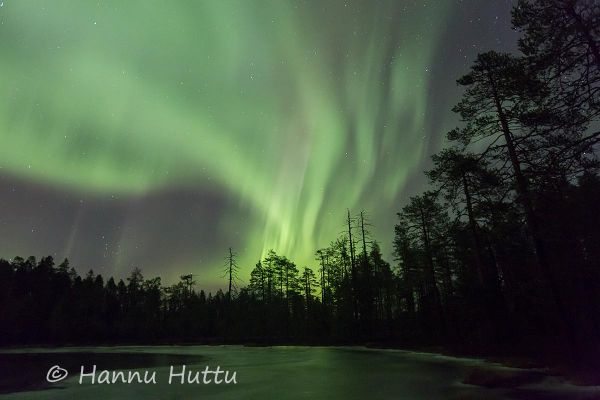 2013_10_31_256.jpg
aurora borealis revontulet tähtitaivas yö avaruus lampi jää syksy lampimaisema metsämaisema sydänmaanaro kalevalapuisto
Avainsanat: aurora borealis revontulet tähtitaivas yö avaruus lampi jää syksy lampimaisema metsämaisema sydänmaanaro kalevalapuisto