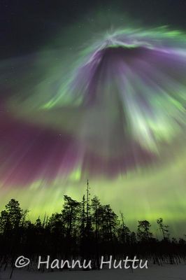 2015_03_18_175.jpg
revontulet aurora borealis korona yö talvimaisema
Avainsanat: revontulet aurora borealis korona yö talvimaisema