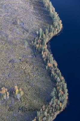 2016_09_10_358.jpg
suojametsä hakkuuaukko metsänhoito syksy ilmakuva järvi
Avainsanat: suojametsä hakkuuaukko metsänhoito syksy ilmakuva järvi