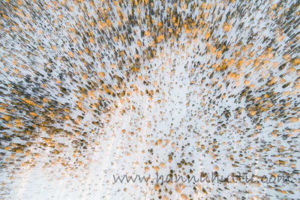 20170516_015.jpg
metsä ilmakuva Saarijärven aarnialue talvi kevät
Avainsanat: metsä ilmakuva Saarijärven aarnialue talvi kevät