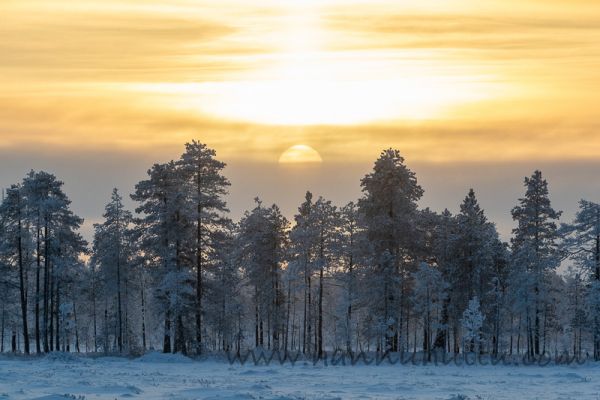 20181224_005.jpg
talvimaisema aurinko talvipäivä pakkanen 
Avainsanat: talvimaisema aurinko talvipäivä pakkanen