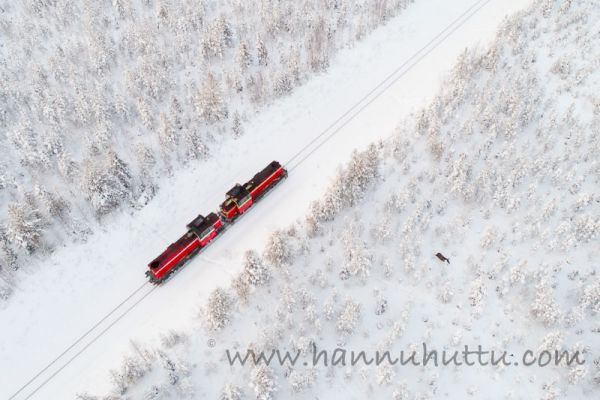 20190206_073.jpg
hirvi alces alces talvi ilmakuva junarata liikenne
Avainsanat: hirvi alces alces talvi ilmakuva junarata liikenne