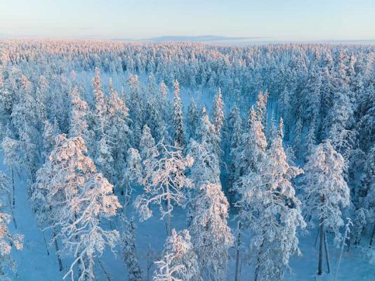 20211221008
talvimaisema hossan kansallispuisto hossa metsämaisema talvi ilmakuva
Avainsanat: talvimaisema hossan kansallispuisto hossa metsämaisema talvi ilmakuva