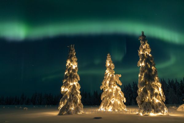 20220108303
talvi talvimaisema lumimaisema aurora borealis revontulet joulu joulukuusi jouluvalot kausivalot yö taivas
Avainsanat: talvi talvimaisema lumimaisema aurora borealis revontulet joulu joulukuusi jouluvalot kausivalot yö taivas