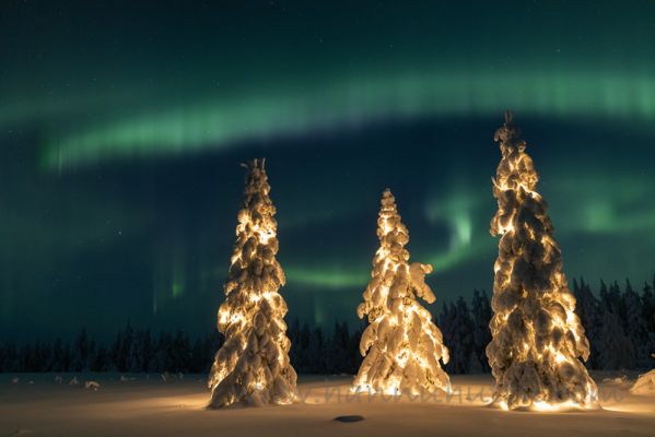 20220108307
talvi talvimaisema lumimaisema aurora borealis revontulet joulu joulukuusi jouluvalot kausivalot yö taivas
Avainsanat: talvi talvimaisema lumimaisema aurora borealis revontulet joulu joulukuusi jouluvalot kausivalot yö taivas