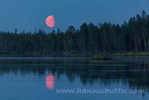 202208160007
säynäjäsuo säynäjäjärvi syksy kuu nousee
Avainsanat: säynäjäsuo säynäjäjärvi syksy kuu nousee