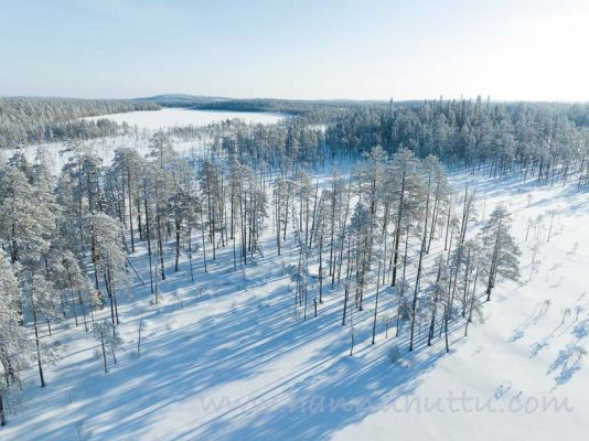 202302250028
hossan kansallispuisto talvi hossa talvimaisema lumi ilmakuva metsämaisema
Avainsanat: hossan kansallispuisto talvi hossa talvimaisema lumi ilmakuva metsämaisema