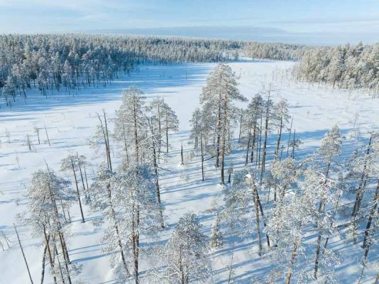 202302250031
hossan kansallispuisto talvi hossa talvimaisema lumi ilmakuva metsämaisema
Avainsanat: hossan kansallispuisto talvi hossa talvimaisema lumi ilmakuva metsämaisema
