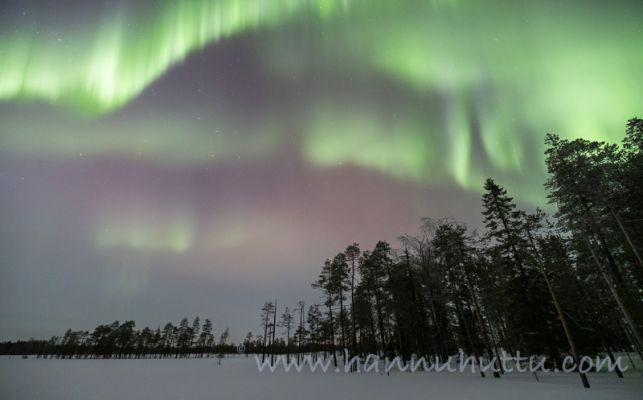 202302270059
revontulet aurora borealis talvimaisema
Avainsanat: revontulet aurora borealis talvimaisema