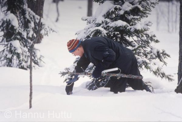 dia0087.jpg
ketunmetsästys jalkanaru turkisriista metsästys talvi 
Avainsanat: ketunmetsästys jalkanaru turkisriista metsästys talvi